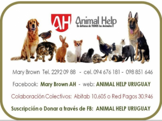 ANIMAL HELP por los DERECHOS de los animales